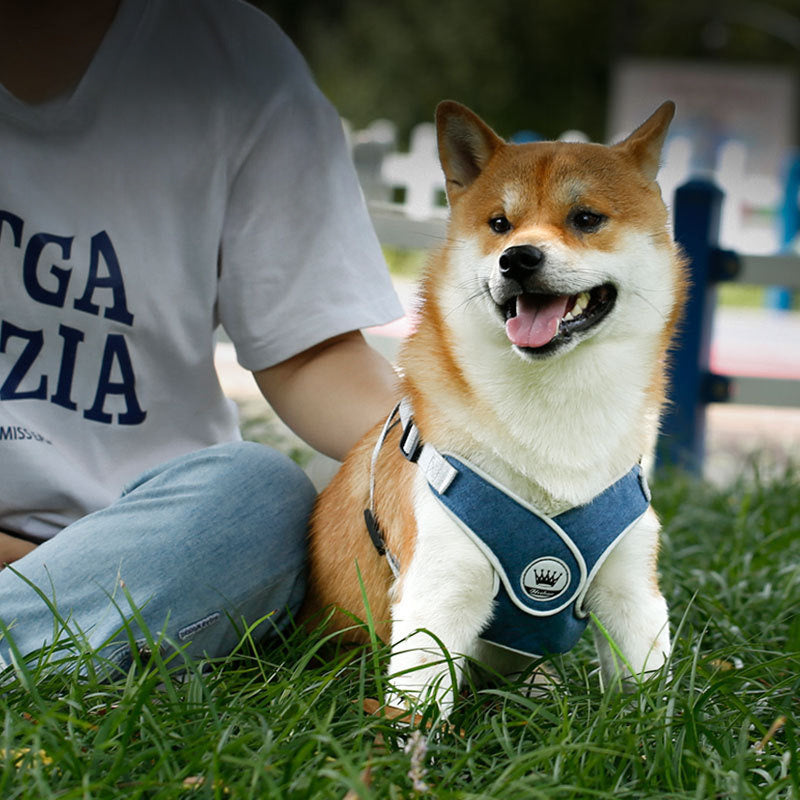 Dog Harness Adjustable Pet Harness Vest For Small Large