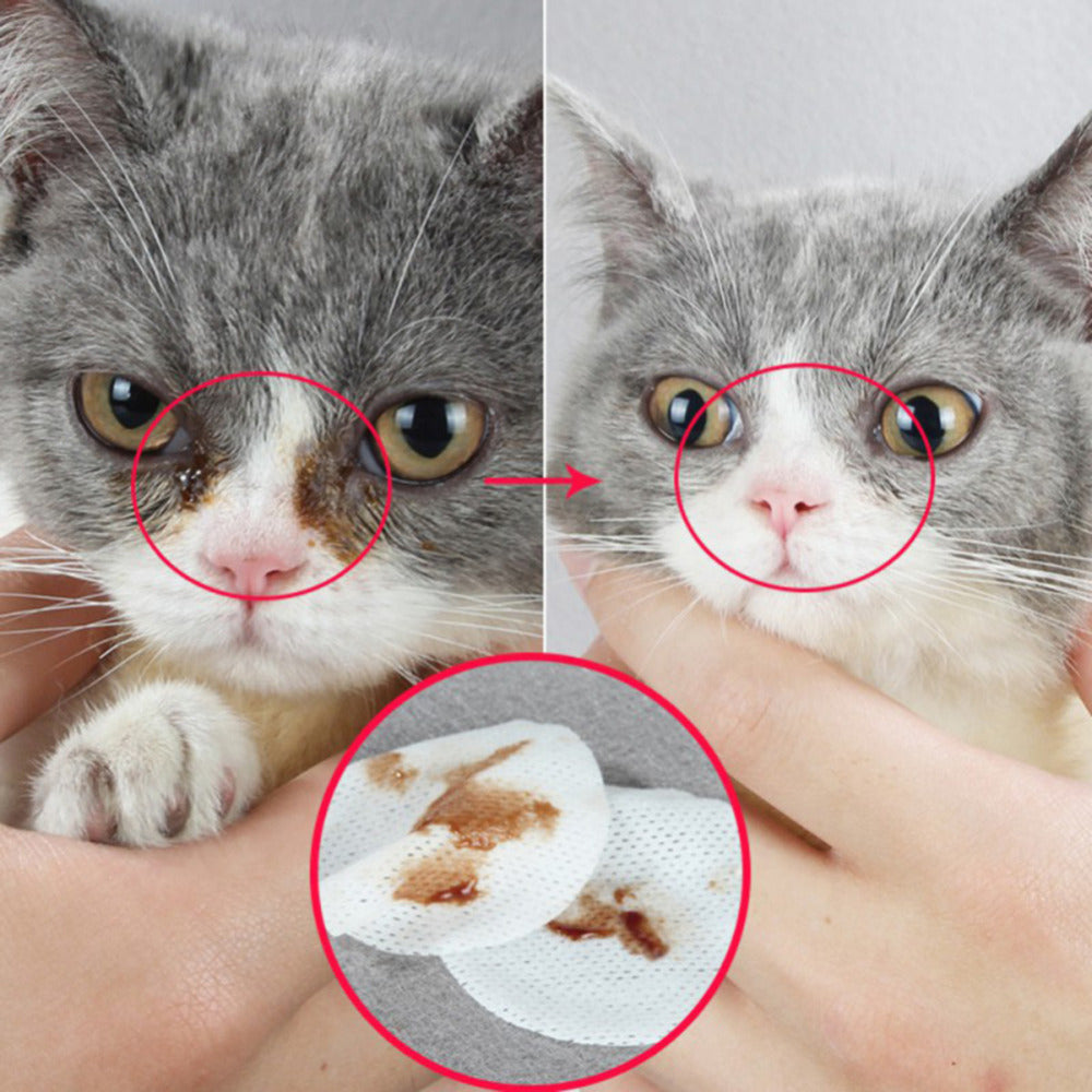 Pet Eye Grooming Wipes Dog Cat Eyes Gentle Tear Stain Cleaning