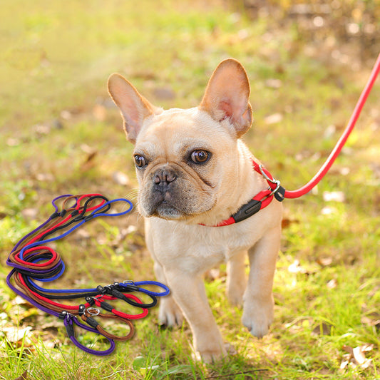 Dog leash dog leash pet leash
