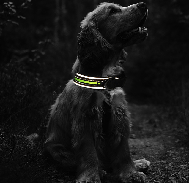 Pet Collars Thicken Comfortable Pets Luminous Neoprene Dog Collars
