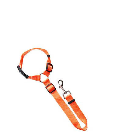 Pet Traction Rope Car Seat Belt Two-In-One Dual-Use Car