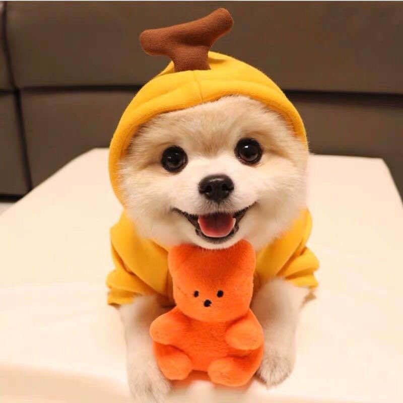 Dog Autumn And Winter Clothing Small And Medium Dog Love