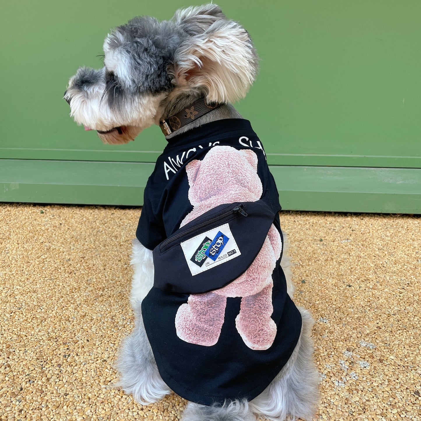Pet Clothes Backpack Bear And Dog Thin Breathable T-shirt