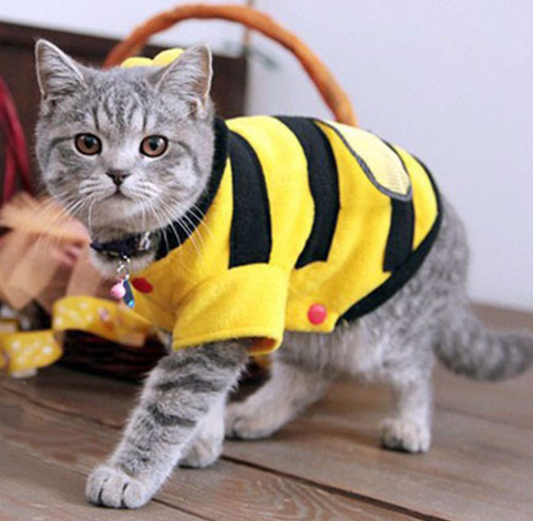1Pcs Pet Clothes Cute Bees Dog Cat Clothes Soft Fleece Poodle Dog Clothes