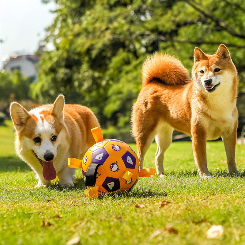 Pet Interactive Football Dog Outdoor Toy Molar Long Lasting
