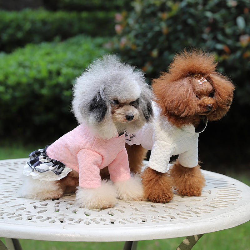 New Style Pet Clothes Cotton Skirt Warm Dog Cotton Clothes