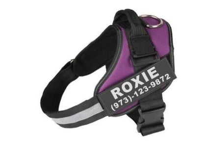 Personalized Custom Reflective Breathable Dog Harness NO PULL