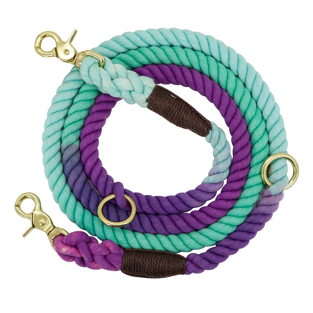 Gradient Color Dog Collars Accessories Leashes Rope Metal Chain