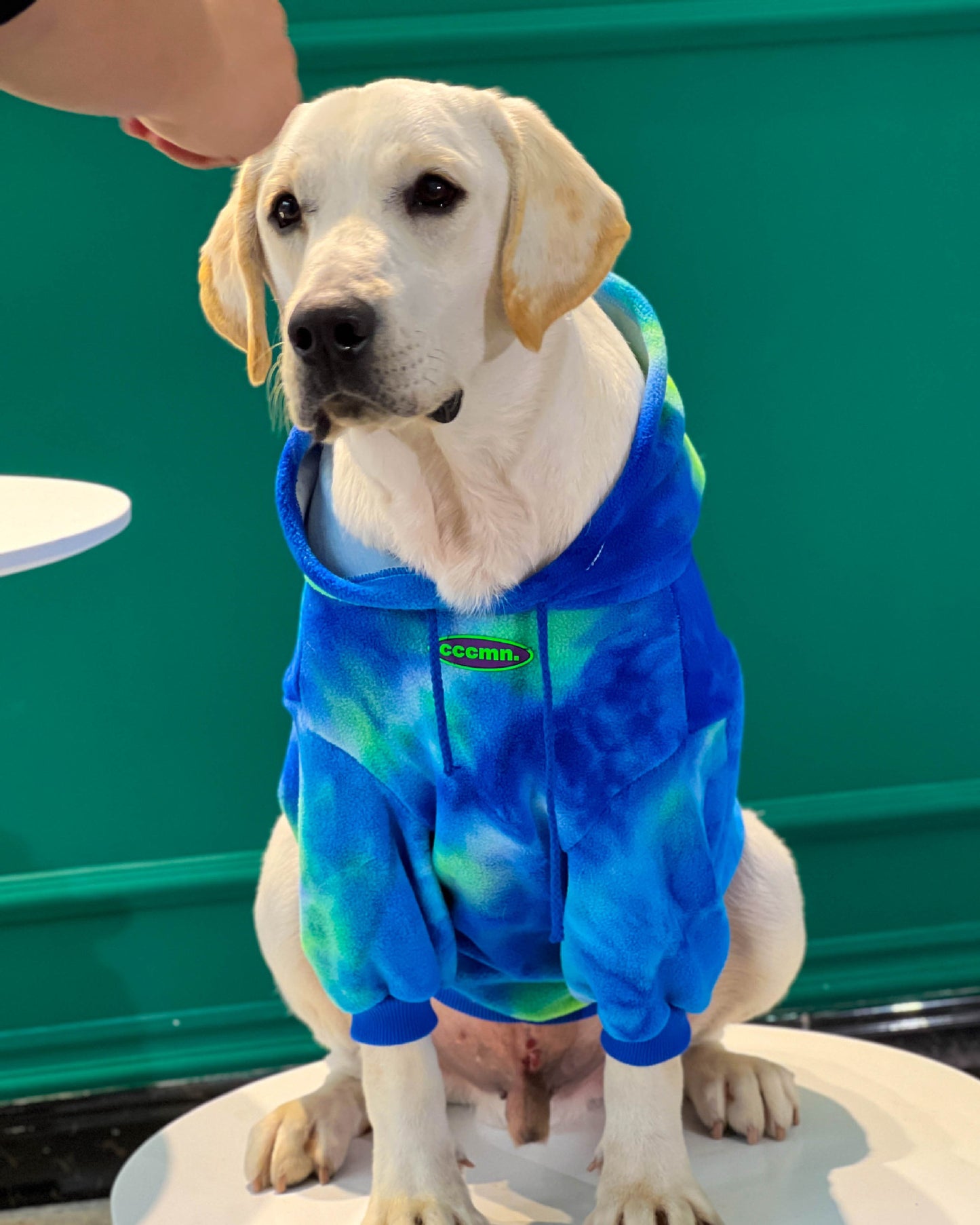 Pet Dog Tide Brand Warm And Thickened Tie Dyed Sweatshirt