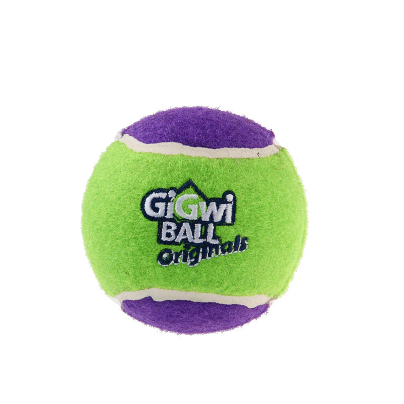 Dog Outdoor Tour Training Picking Club