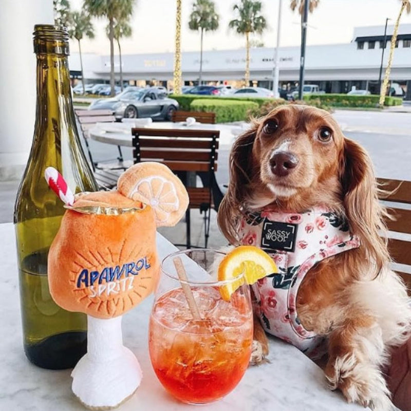 Chew Squeaky Dog Toys Cute Pet Dog Sound Cup Toy