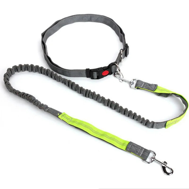 Hand Free Dog Leash Adjustable Dog Leash Waist Belt