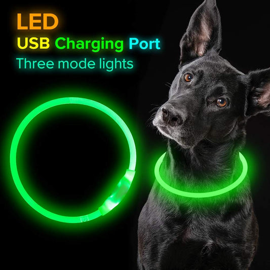 Pet Flashing Collar USB Rechargeable Glowing Necklace