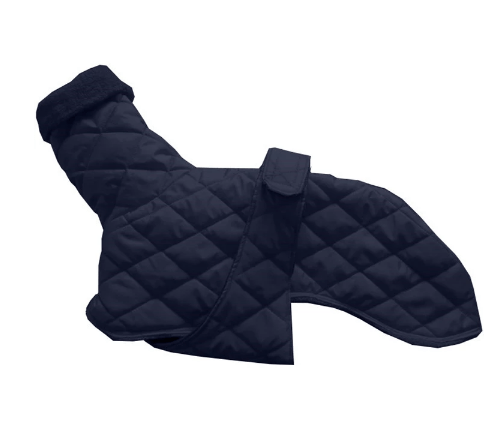 Dog winter warm cotton pure color belt fashion