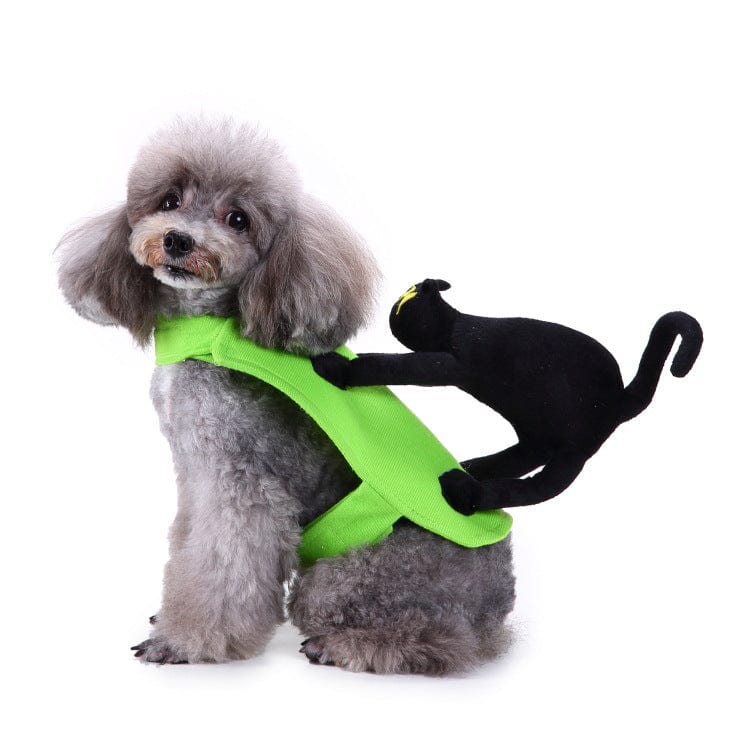 Black Cat Riding Dog Costume
