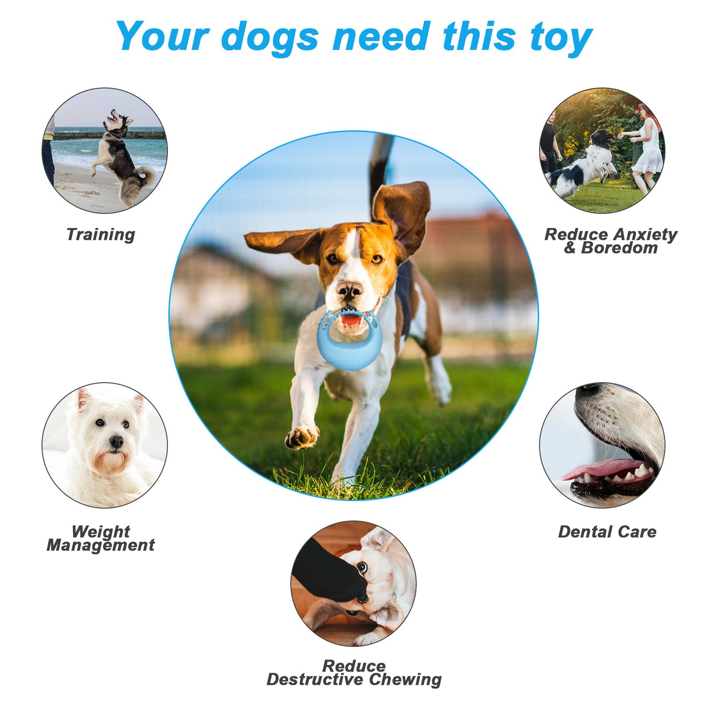 Tumble Dog Bite Toy Pet Tooth Grinder
