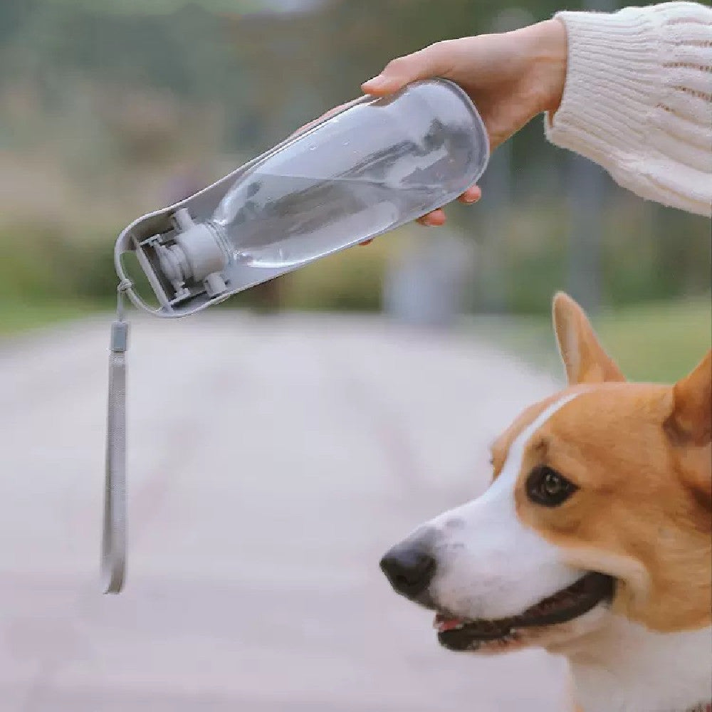 Portable Dog Water Bottle For Small Large Dogs Foldable