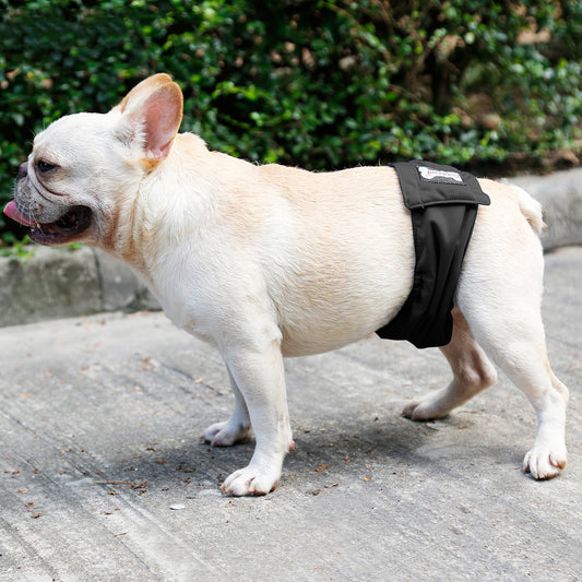 Male Dog Restraint Courtesy Belt Pet Supplie  Washable Sanitary Diapers