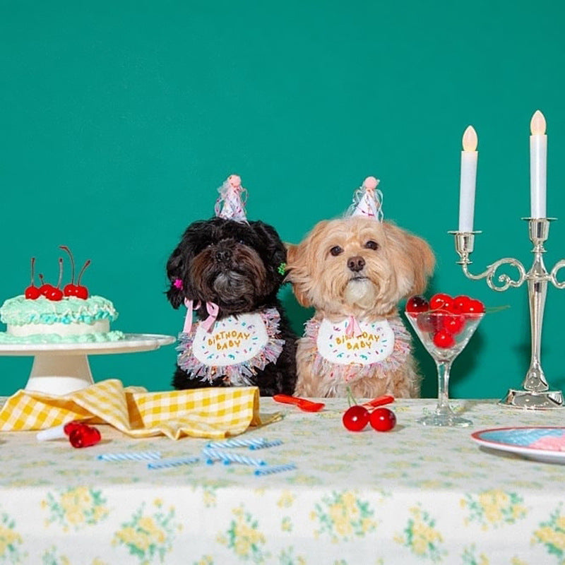 Dog Party Bib Pet Birthday Saliva Towel Bichon Triangle Scarf