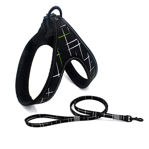 Colorful Dog Leash Dog Walking Rope Small And Medium