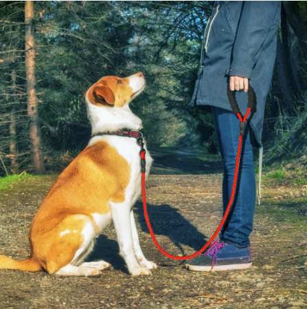 Reflective Dog Leash Nylon Pet Dog Leash Rope  Dogs Walking Training