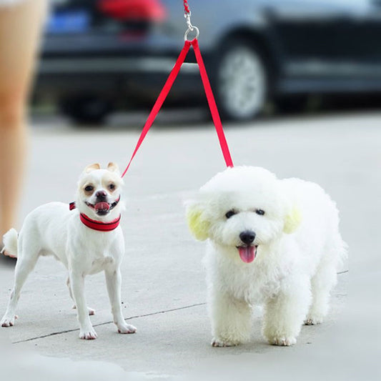 Double Nylon Leash Outdoor Dog Walking Leads
