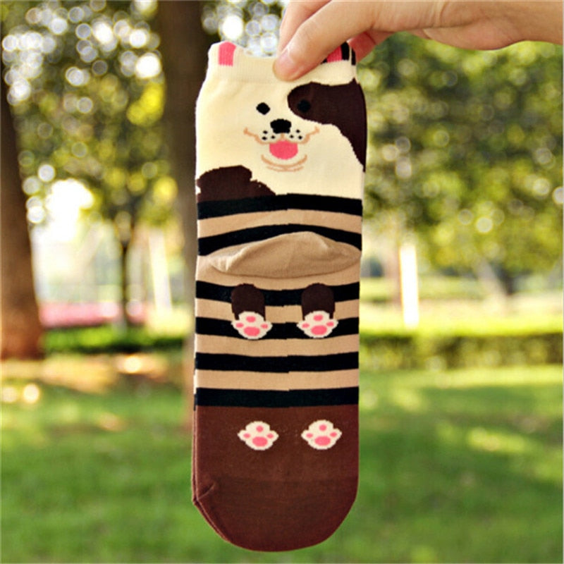 Women's Animal Cotton Socks Lovely Pug