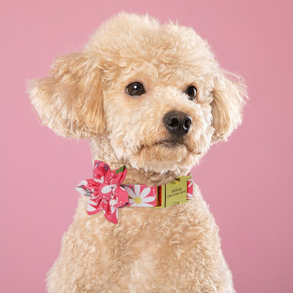 Fashion Printed Dog Collar Personalized