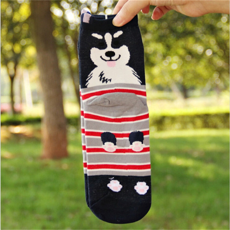 Women's Animal Cotton Socks Lovely Pug