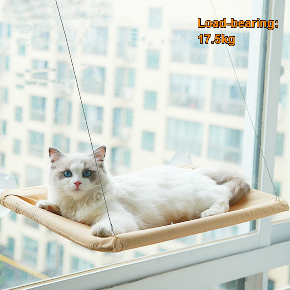 Best Cat Hanging Beds Comfortable and Durable Cat Nest Window Hammock