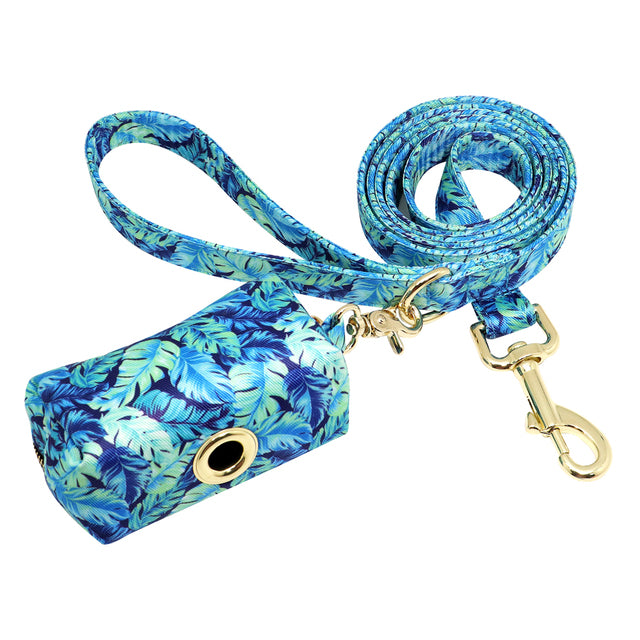 Personalized Custom Dog Collar Leash Set