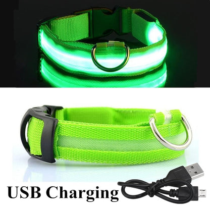 USB Rechargeable Pet Dog LED Glowing Collar