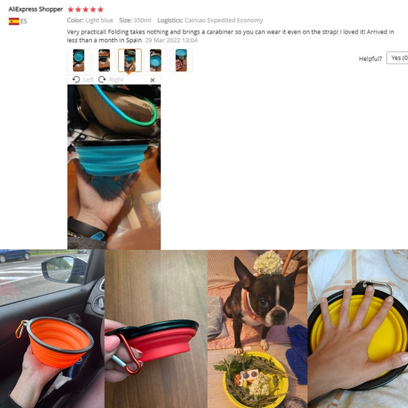 Foldable Silicone Pet Bowl Portable Food Container