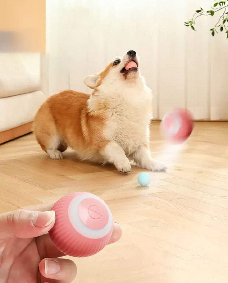 Electric Dog Ball Toys Auto Rolling Smart Dog Toys