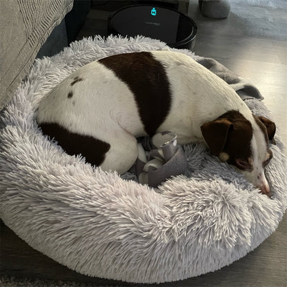 Dog Bed Plush Dog Beds for Dog Bed Labrador