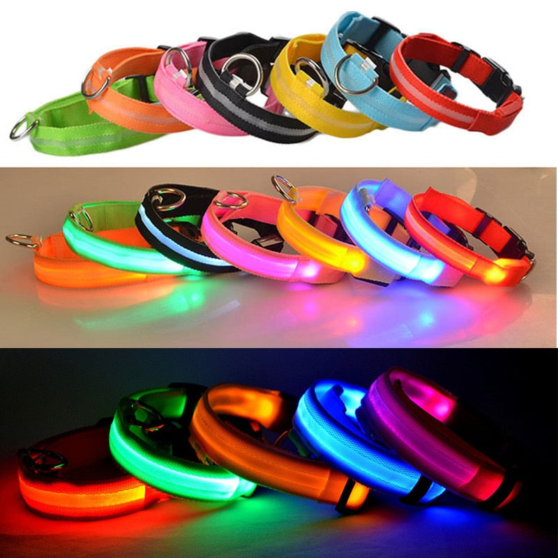 USB Rechargeable Pet Dog LED Glowing Collar