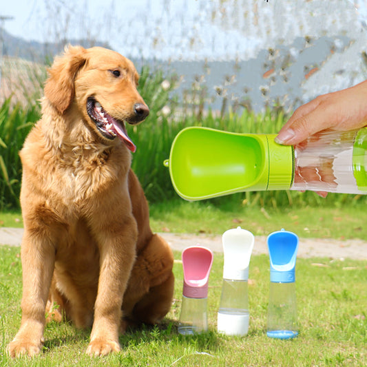 The Dog Travels With A Water Cup To Drink From An Outdoor Water Fountain