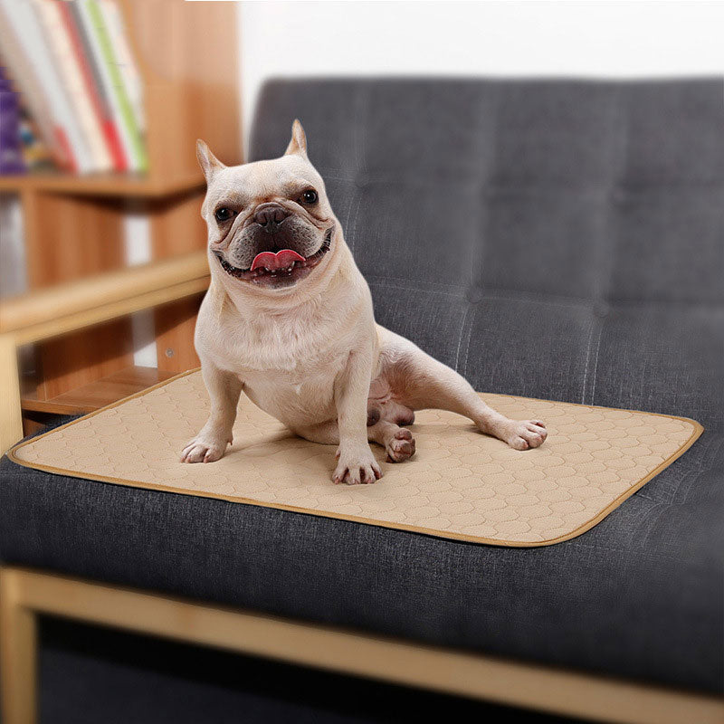 Anti-slip Washable Pet Pee Pad Mat
