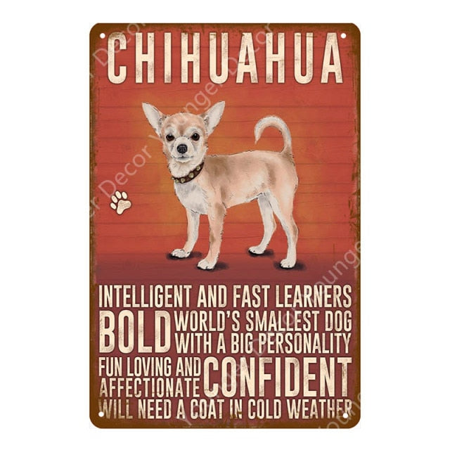 Animals Florida Dog Wall Poster