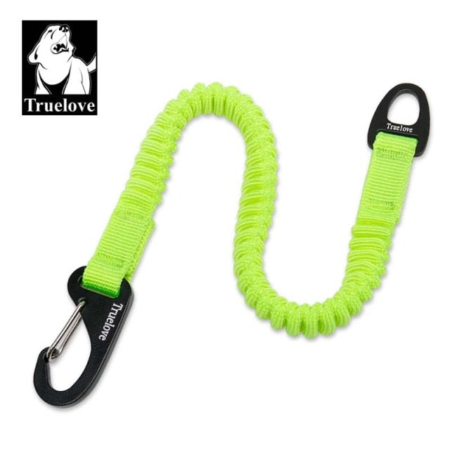 Buffer Bungee Dog Leash for Outdoor