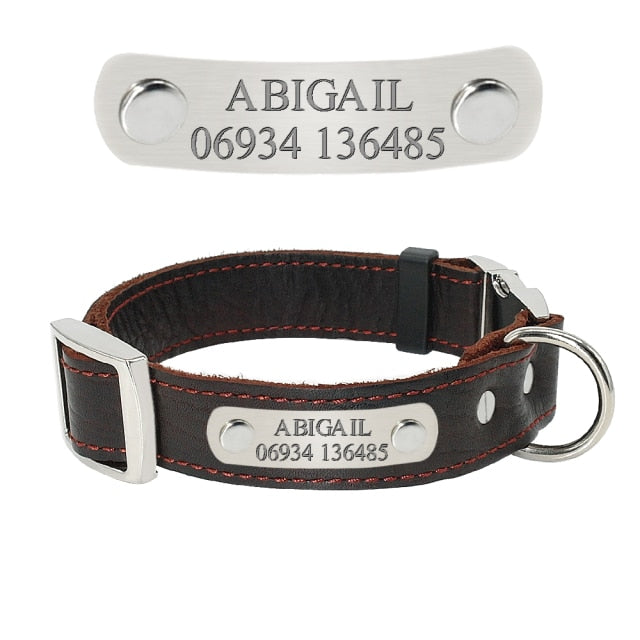 Customized Dog Collars Genuine Leather Nameplate