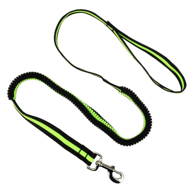 Leash Elastic Pet Anti Dash
