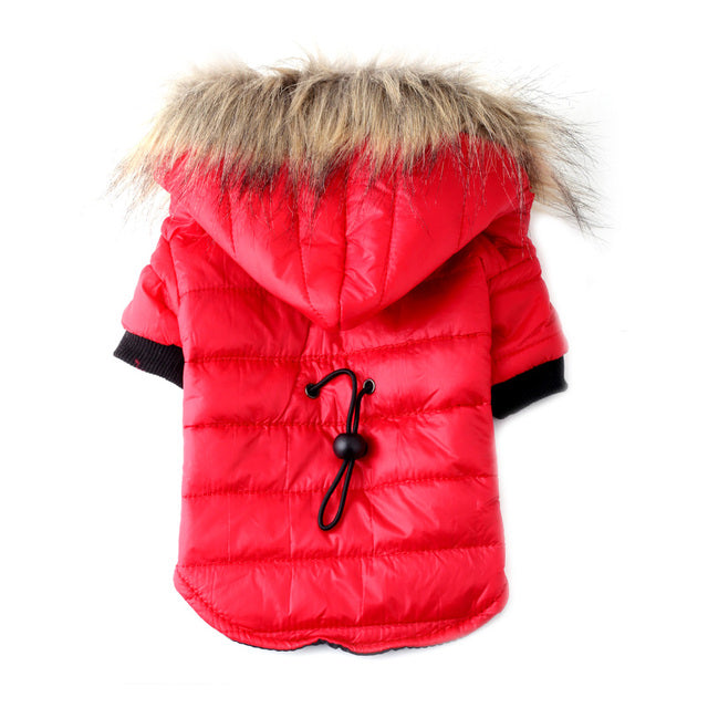 Coat Jacket Outfits For Dog Winter Clothes