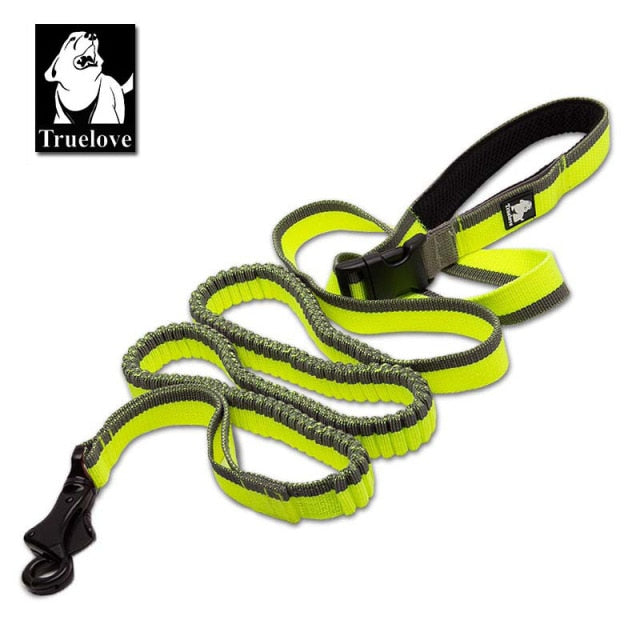 Dog Running Bungee Leash Leads