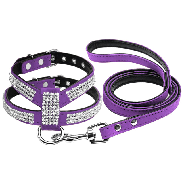 Small Dog Harness And Leash