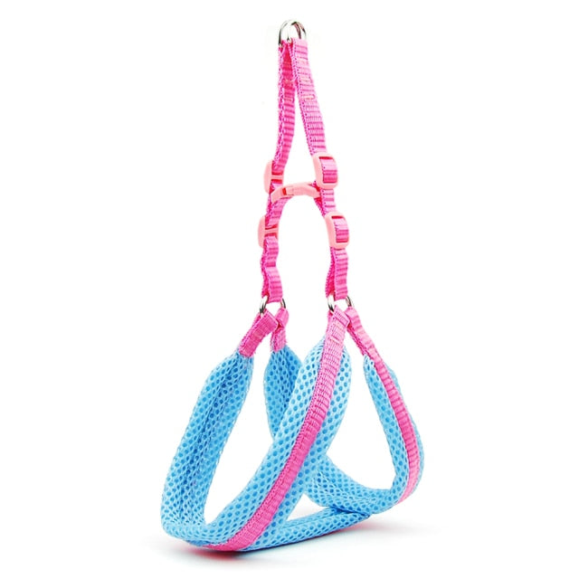 Solid Breathable Mesh Dogs Leash