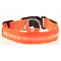 LED Light Night Safety Dog Collar