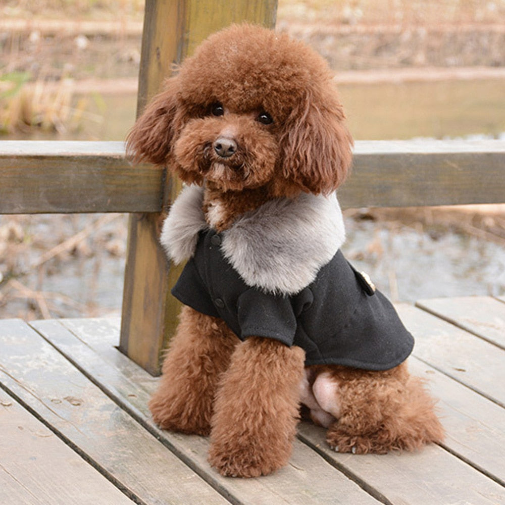 Dog Clothing Coat Jacket With Fur