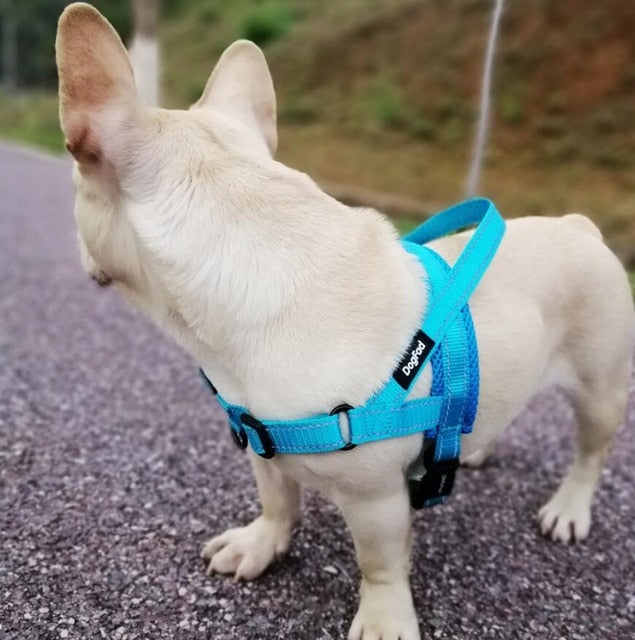 Dog Harness Easy On and Off Adjustable