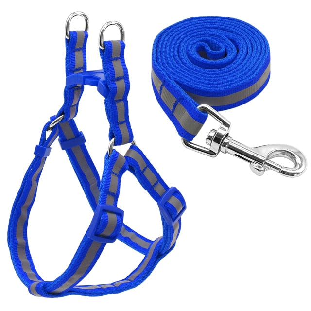Small Dogs Harness Collar Leash Lead